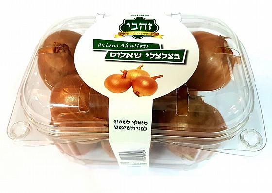 ��� ����� ����