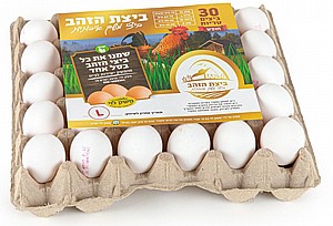 30 ביצי חופש טריות גודל L 30 ביצי חופש טריות גודל L