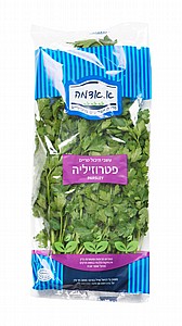 פטרוזיליה מארז פטרוזיליה מארז