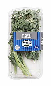 שיבה מארז שיבה מארז