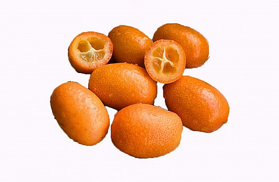 ���� ����