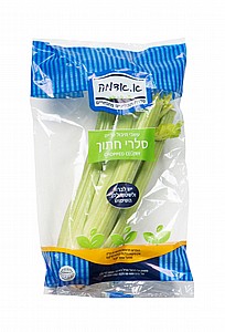 סלרי אמריקאי חתוך ארוז סלרי אמריקאי חתוך ארוז