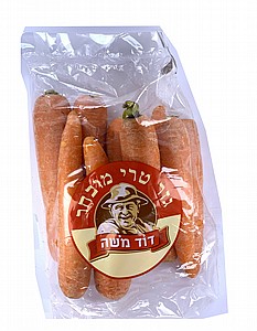 גזר דוד משה גזר דוד משה