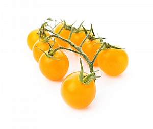 עגבניות שרי צהוב עגבניות שרי צהוב