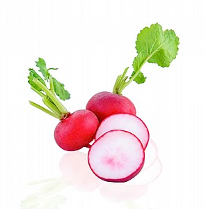 צנון צנון