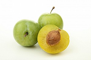 שזיף ירוק שזיף ירוק