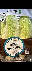 חסה לבבות קיסר מארז חסה לבבות קיסר מארז