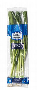 בצל ירוק ארוז בצל ירוק ארוז