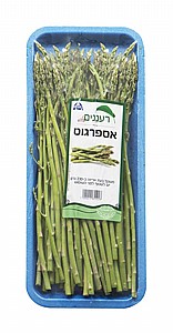 אספרגוס ארוז אספרגוס ארוז