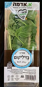 בזיליקום מארז בזיליקום מארז